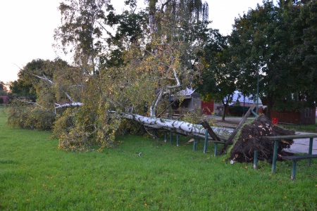 Břiza 1