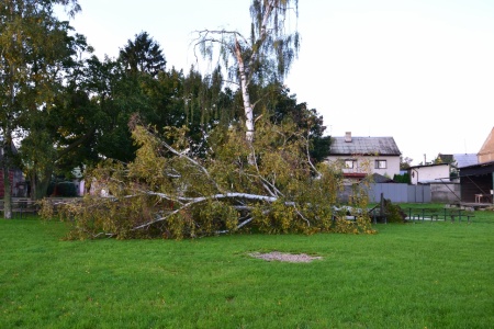 Bříza 3